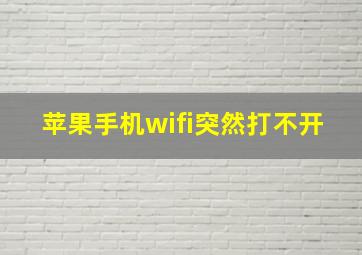 苹果手机wifi突然打不开