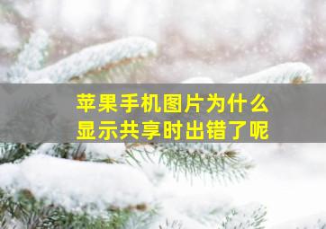 苹果手机图片为什么显示共享时出错了呢