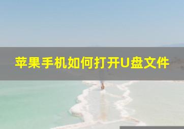 苹果手机如何打开U盘文件