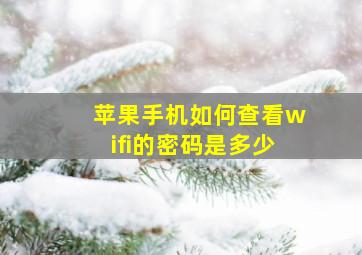 苹果手机如何查看wifi的密码是多少