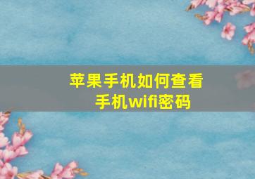 苹果手机如何查看手机wifi密码