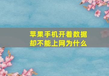 苹果手机开着数据却不能上网为什么