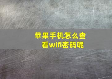 苹果手机怎么查看wifi密码呢