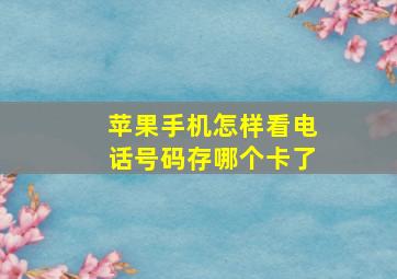 苹果手机怎样看电话号码存哪个卡了