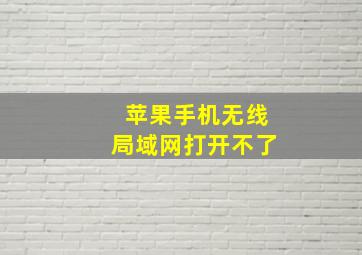 苹果手机无线局域网打开不了