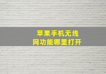 苹果手机无线网功能哪里打开