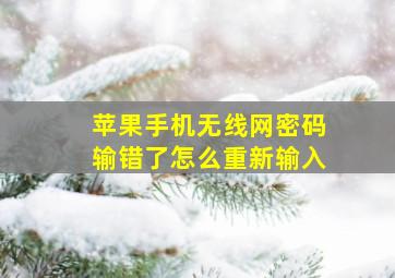 苹果手机无线网密码输错了怎么重新输入