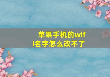 苹果手机的wifi名字怎么改不了