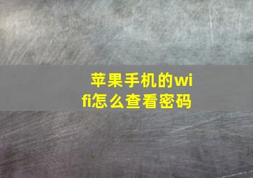 苹果手机的wifi怎么查看密码