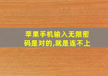 苹果手机输入无限密码是对的,就是连不上