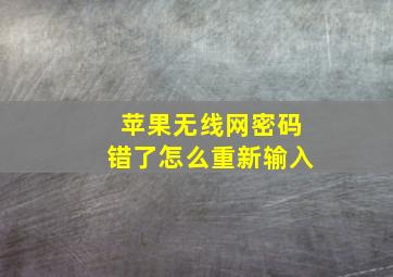 苹果无线网密码错了怎么重新输入