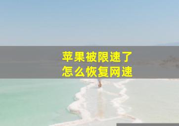 苹果被限速了怎么恢复网速