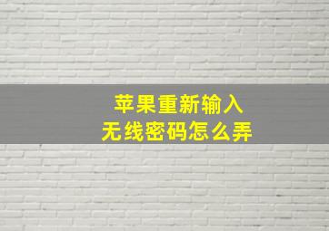 苹果重新输入无线密码怎么弄