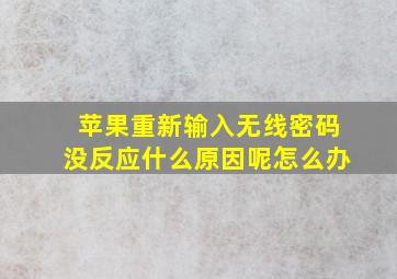 苹果重新输入无线密码没反应什么原因呢怎么办