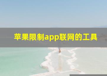 苹果限制app联网的工具