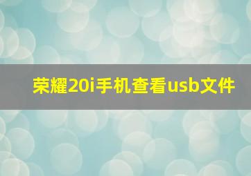 荣耀20i手机查看usb文件