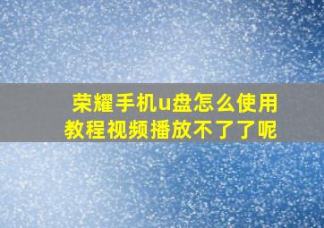 荣耀手机u盘怎么使用教程视频播放不了了呢