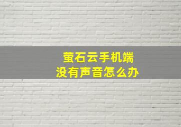 萤石云手机端没有声音怎么办