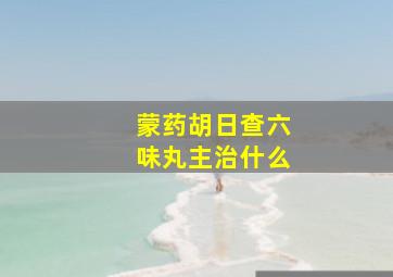 蒙药胡日查六味丸主治什么