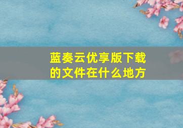 蓝奏云优享版下载的文件在什么地方