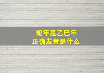 蛇年是乙巳年正确发音是什么