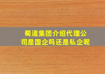 蜀道集团介绍代理公司是国企吗还是私企呢