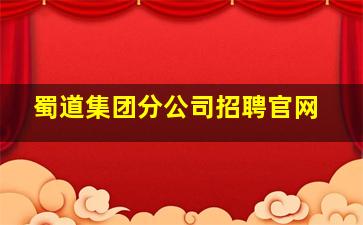 蜀道集团分公司招聘官网