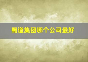 蜀道集团哪个公司最好