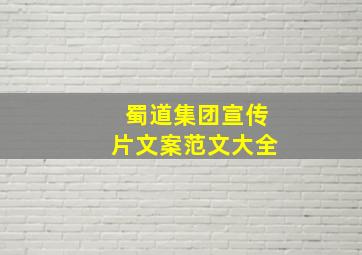 蜀道集团宣传片文案范文大全