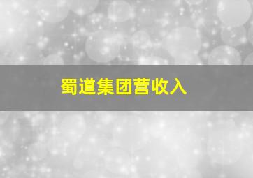 蜀道集团营收入