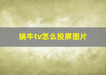 蜗牛tv怎么投屏图片