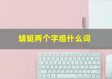 蜻蜓两个字组什么词