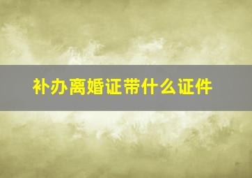 补办离婚证带什么证件