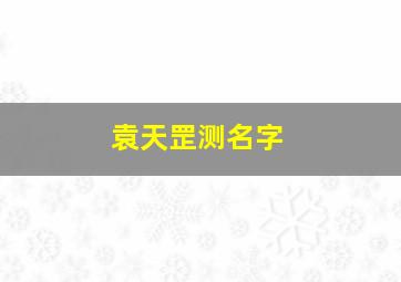 袁天罡测名字