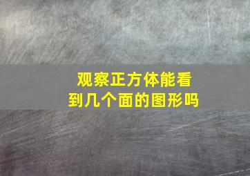 观察正方体能看到几个面的图形吗