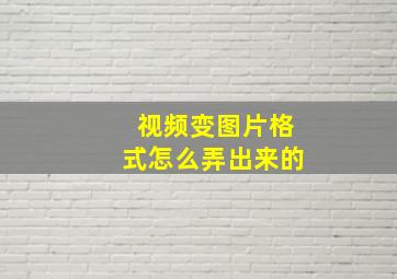 视频变图片格式怎么弄出来的