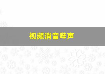 视频消音哔声