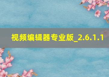 视频编辑器专业版_2.6.1.1