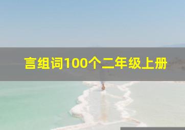 言组词100个二年级上册