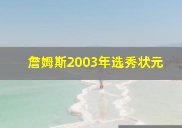 詹姆斯2003年选秀状元