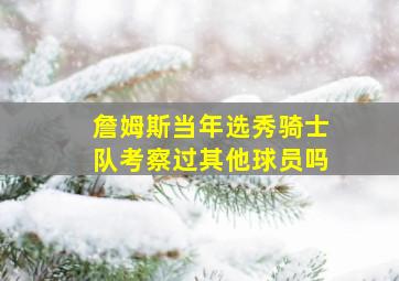 詹姆斯当年选秀骑士队考察过其他球员吗