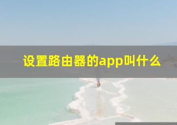 设置路由器的app叫什么