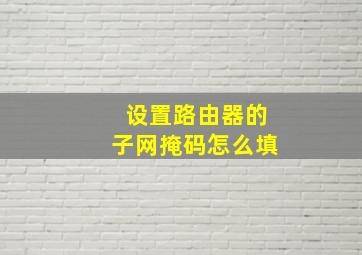 设置路由器的子网掩码怎么填