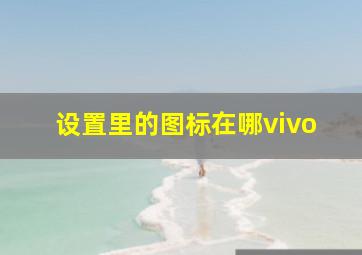 设置里的图标在哪vivo