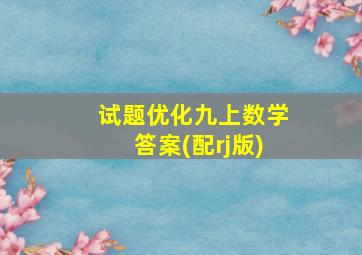 试题优化九上数学答案(配rj版)