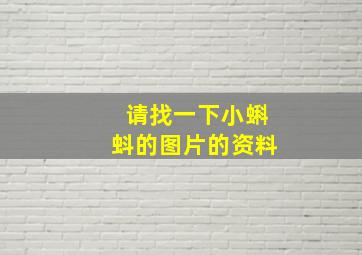 请找一下小蝌蚪的图片的资料