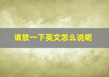 请放一下英文怎么说呢