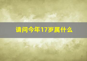 请问今年17岁属什么