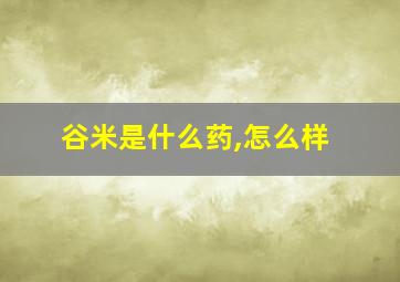 谷米是什么药,怎么样