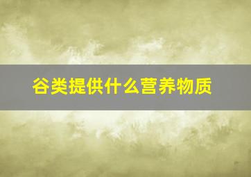 谷类提供什么营养物质